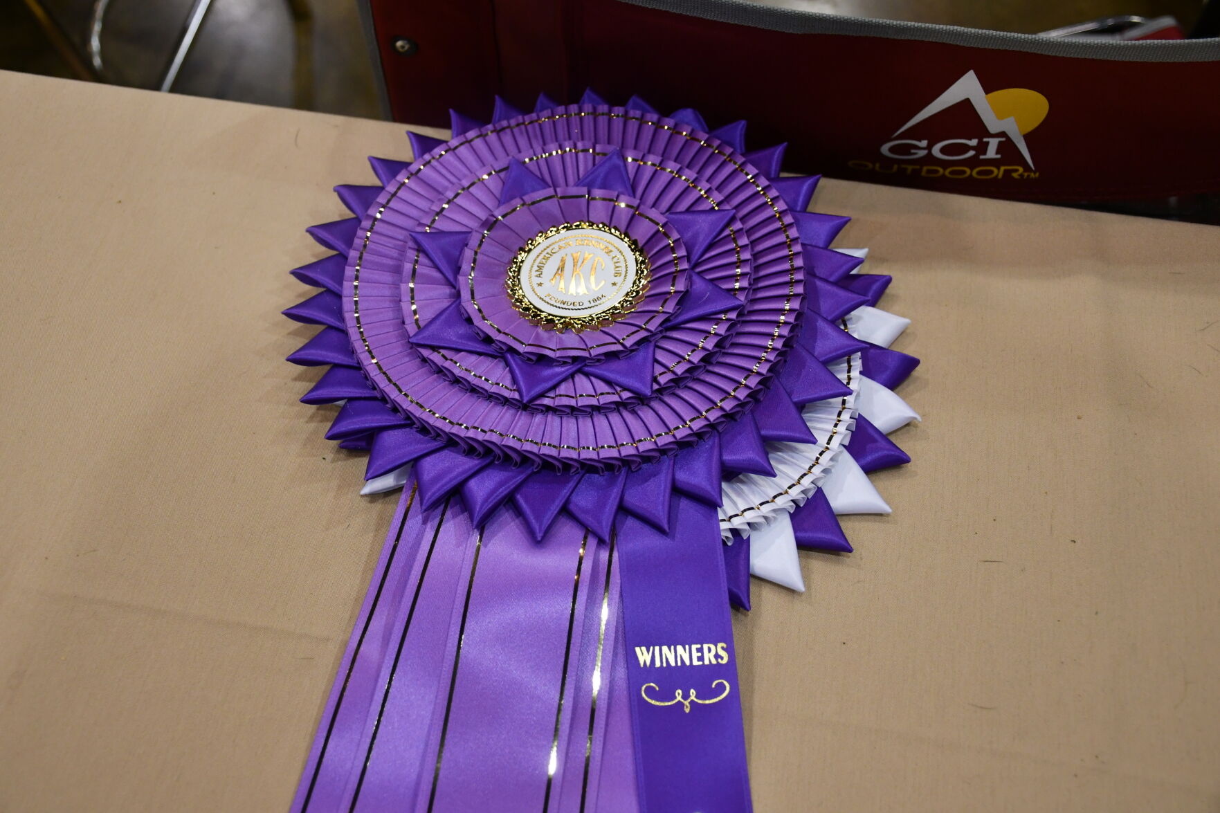 Dog show 9.JPG